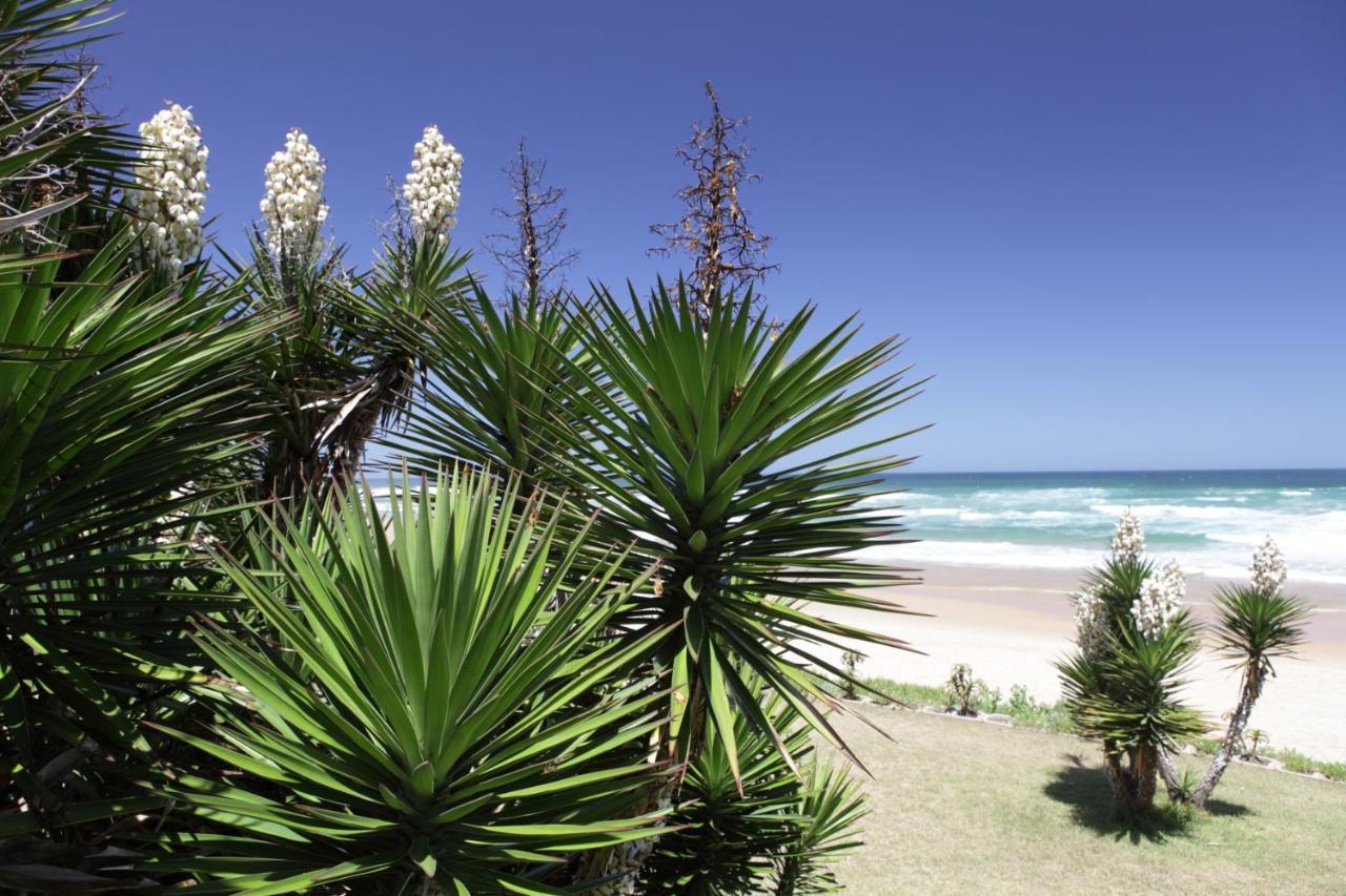 Wildernis Haus Am Strand - On The Beach מראה חיצוני תמונה